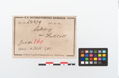 Etikett zu Eisenschaftlappenbeil (NHMW-PRAE-024479)